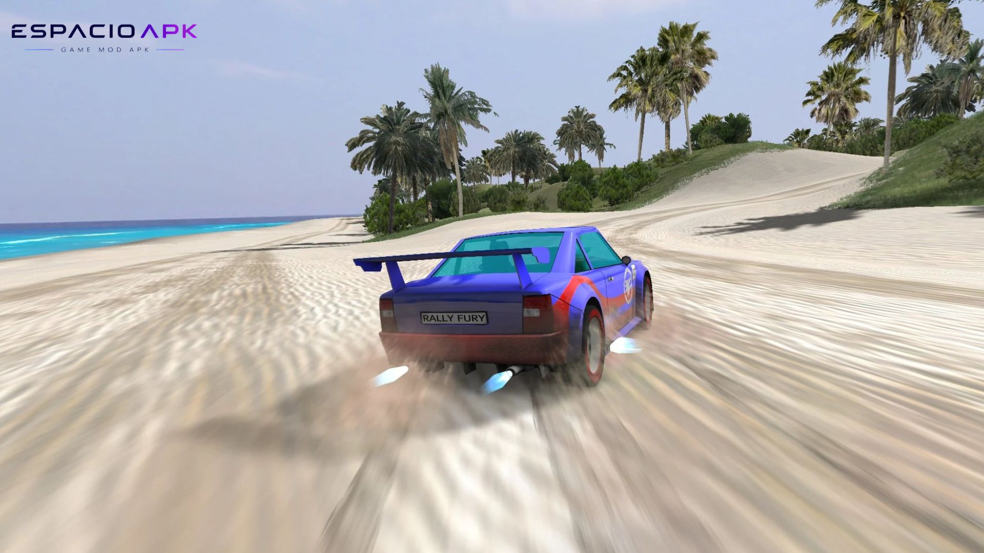 Gameplay Rally Lebih Realistis